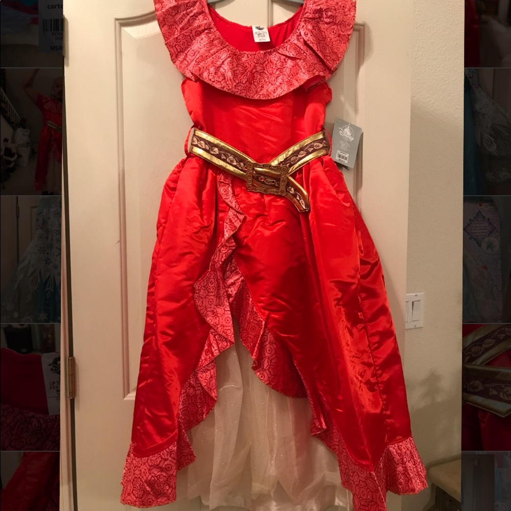 Elena of Avalor Costume
